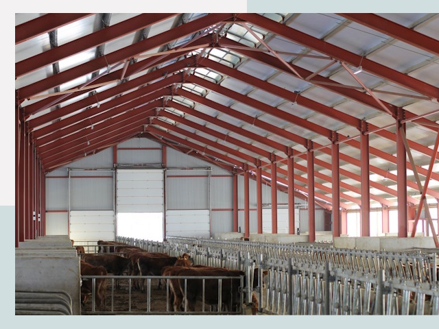 Строительство коровников в Учалах