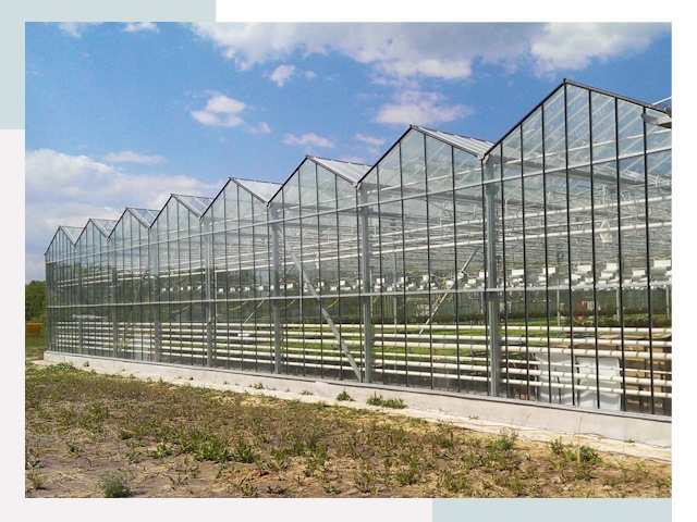 Строительство теплиц в Учалы от 610 руб. за м²